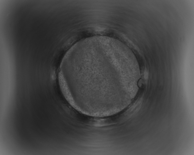 X0000100950472200807151340