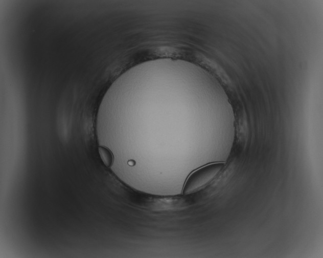 X0000100950473200807151340