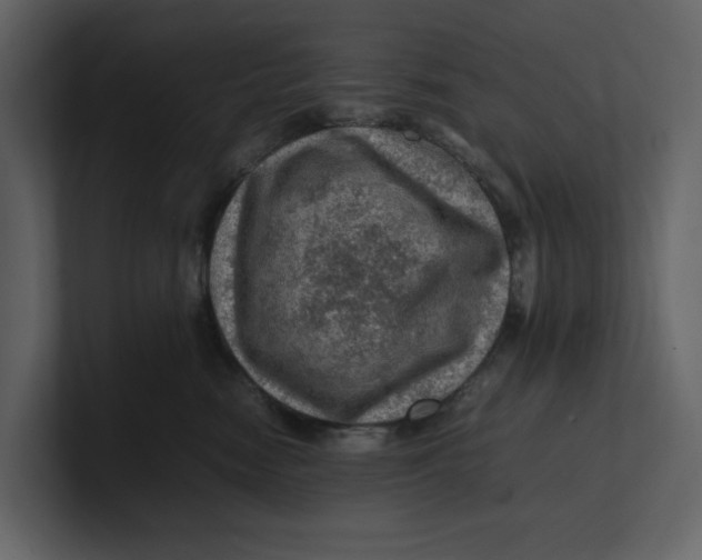 X0000100950474200807151340