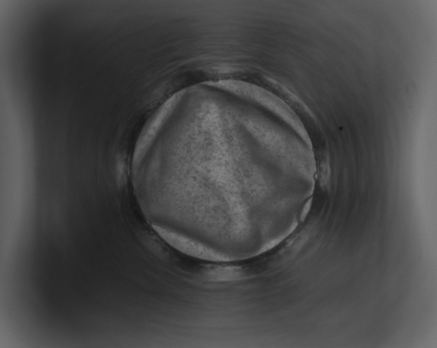 X0000100950476200807151341