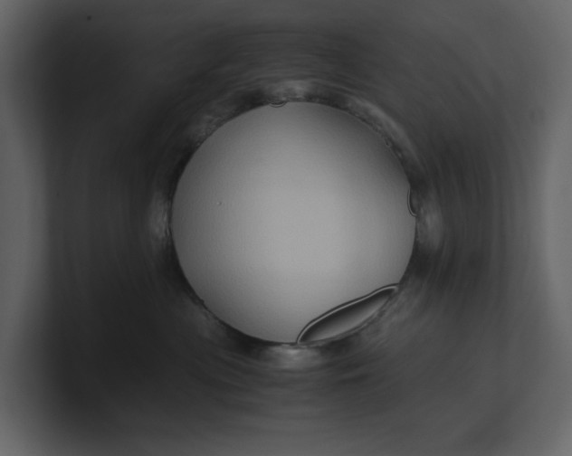 X0000100950477200807151341