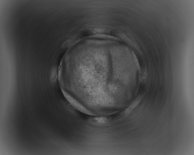 X0000100950478200807151341