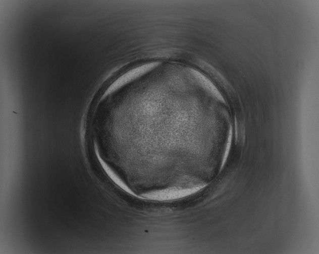 X0000100950483200807151340