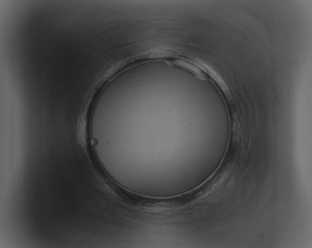 X0000100950485200807151340