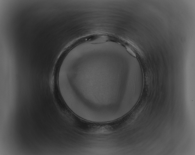 X0000100950488200807151340