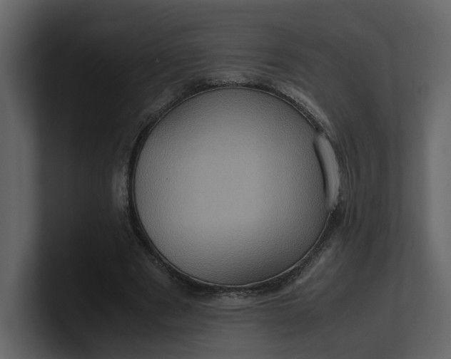 X0000100950489200807151340