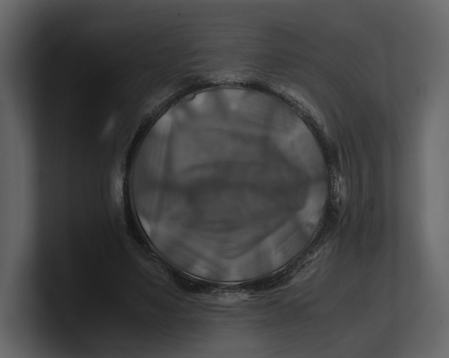 X0000100950491200807151340