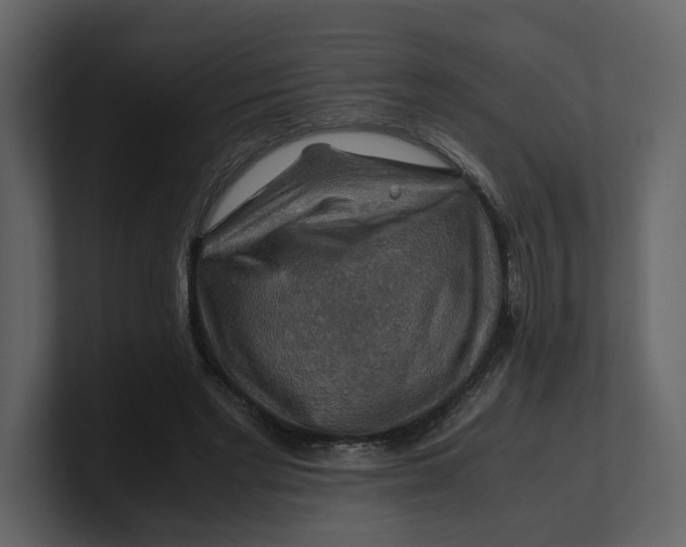 X0000100950493200807151340