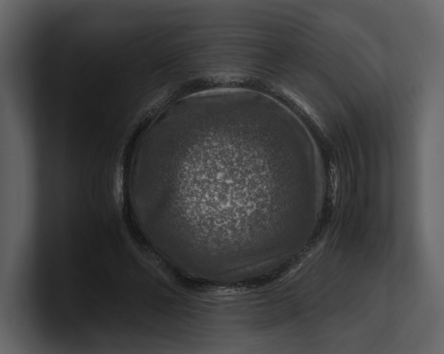 X0000100950494200807151340