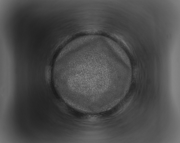 X0000100950495200807151340