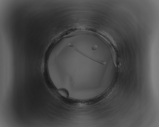 X0000100950496200807151340