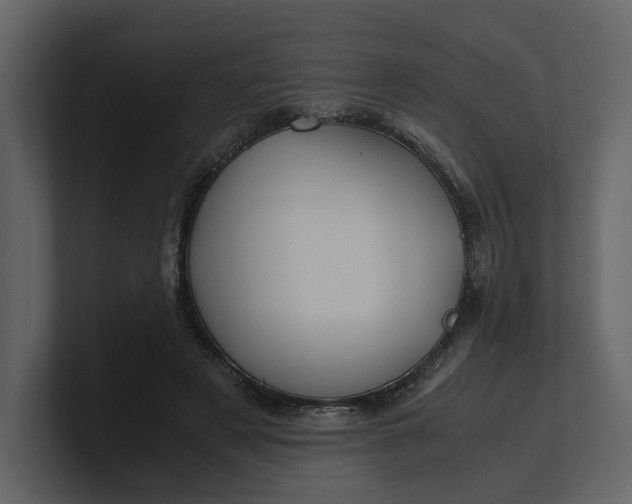 X0000100950497200807151340