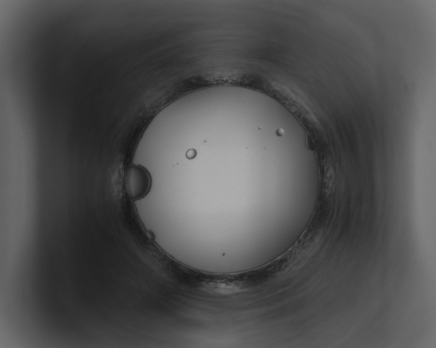 X0000100950498200807151340