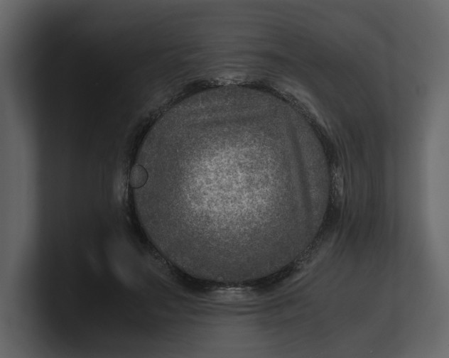 X0000100950499200807151340