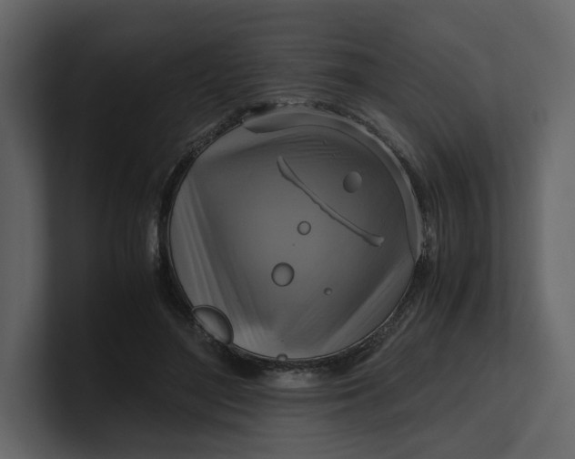 X0000100950500200807151340