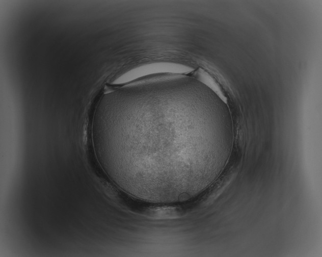 X0000100950501200807151340