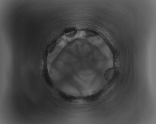 X0000100950503200807151340