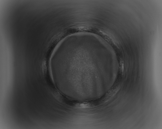 X0000100950506200807151340