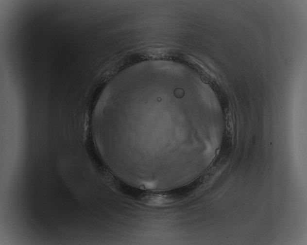 X0000100950507200807151340