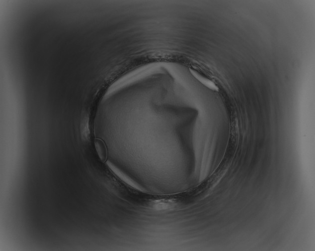 X0000100950508200807151340