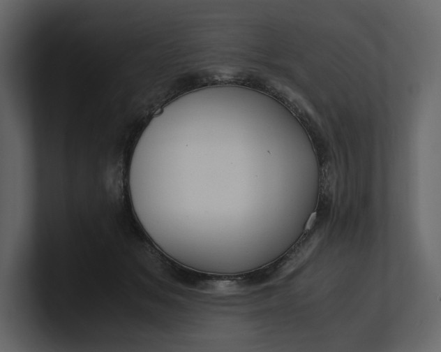 X0000100950509200807151340