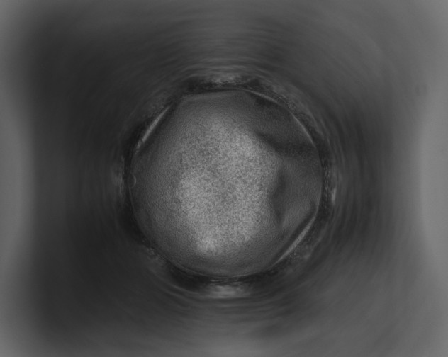 X0000100950510200807151340