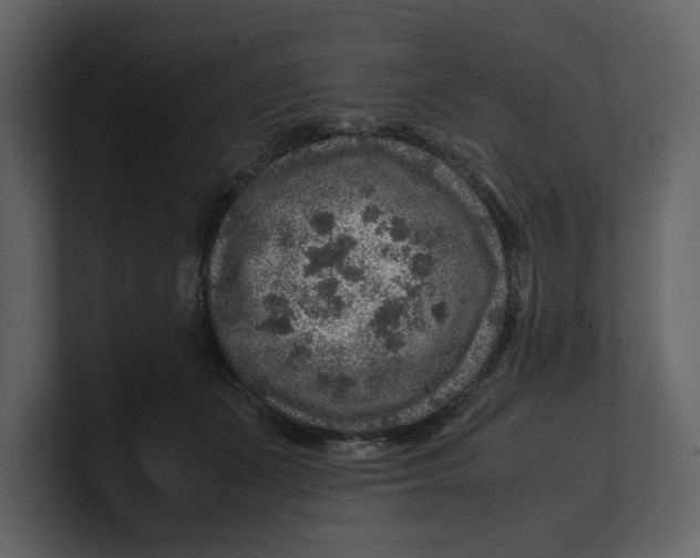 X0000100950511200807151340