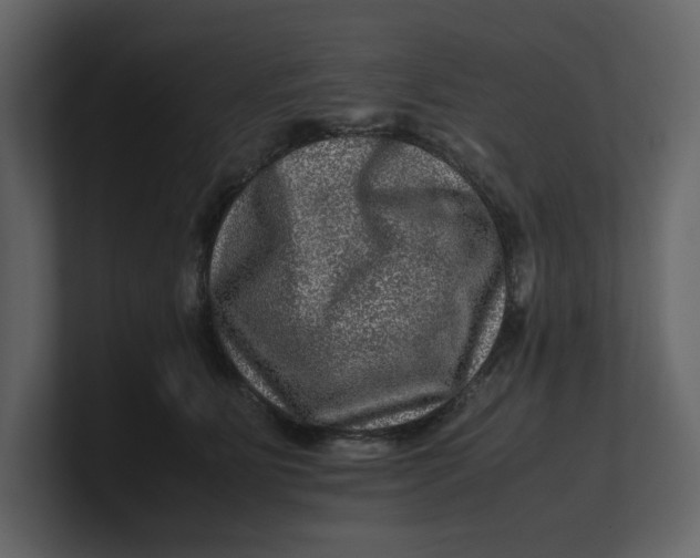 X0000100950515200807151339