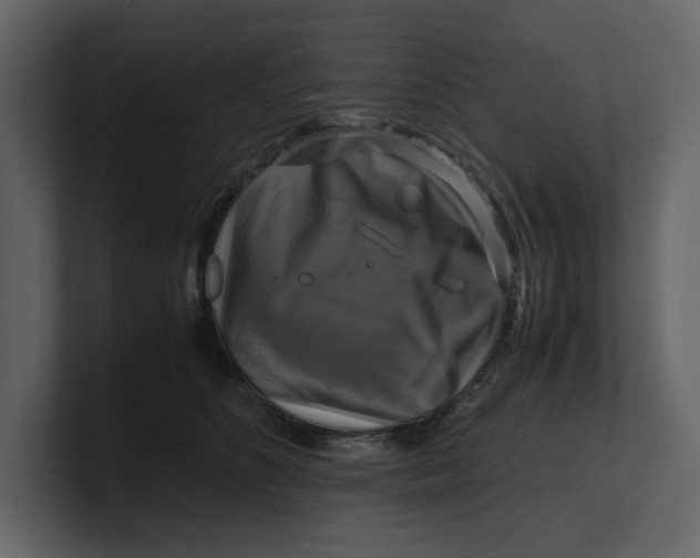 X0000100950516200807151339