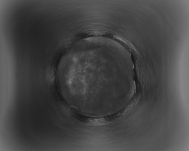 X0000100950517200807151339