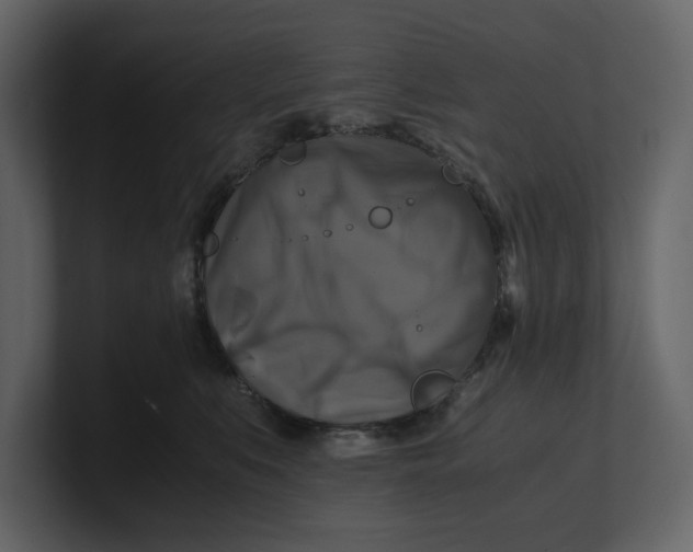 X0000100950519200807151339