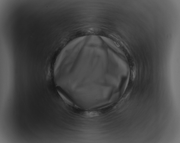 X0000100950520200807151339