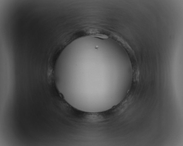 X0000100950521200807151339