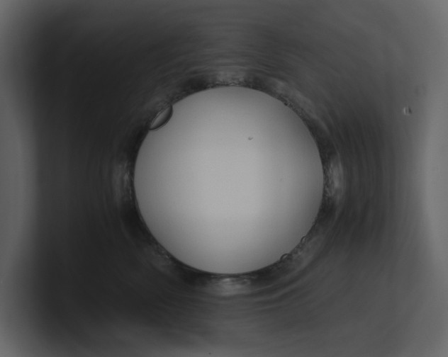 X0000100950522200807151339