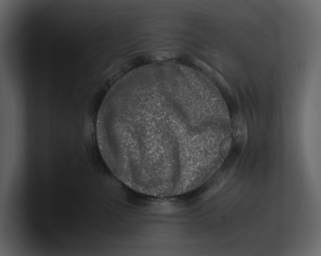 X0000100950523200807151339