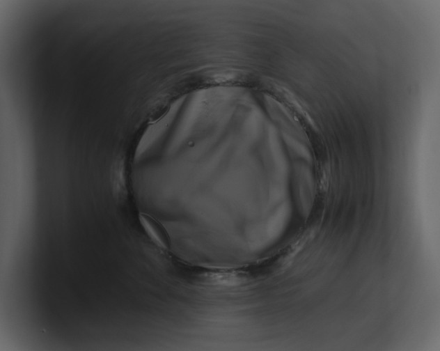 X0000100950524200807151339