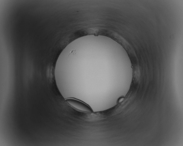 X0000100950525200807151339