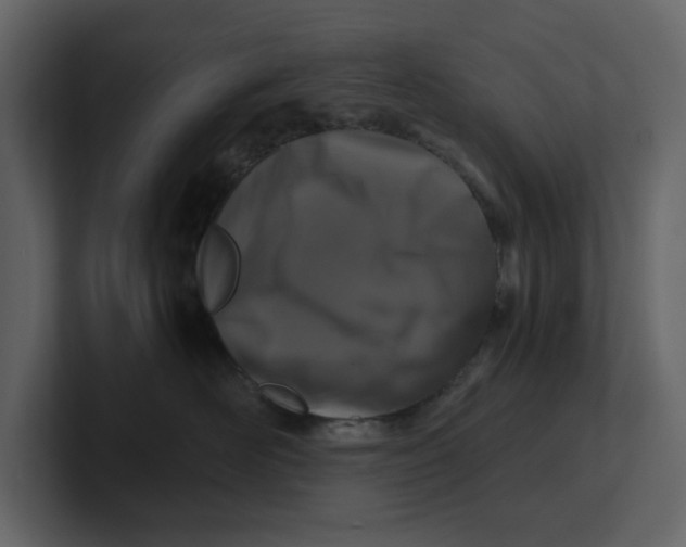 X0000100950526200807151339