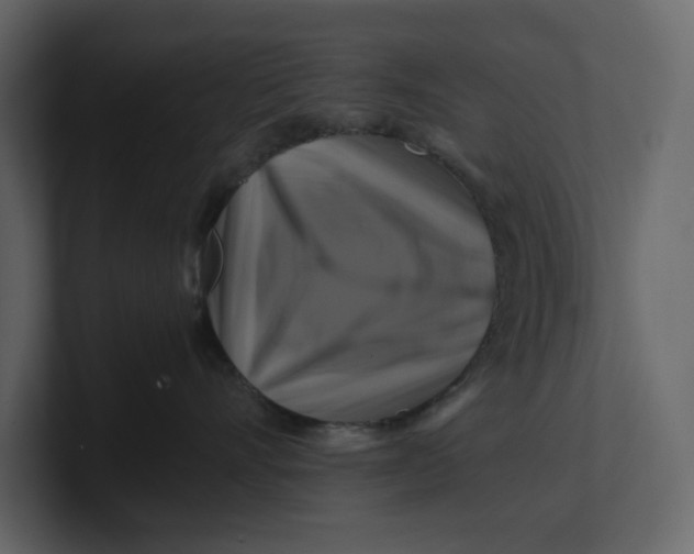 X0000100950528200807151339