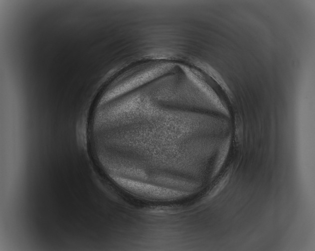 X0000100950530200807151339