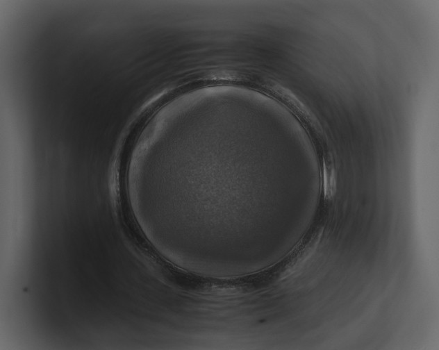 X0000100950531200807151339