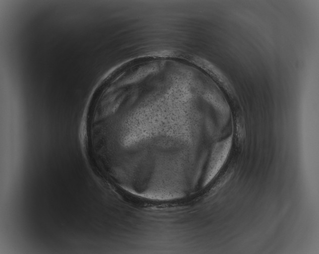 X0000100950532200807151339