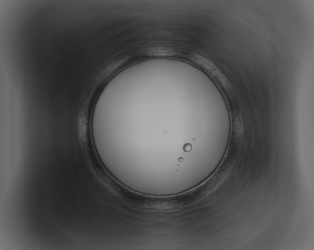 X0000100950533200807151339