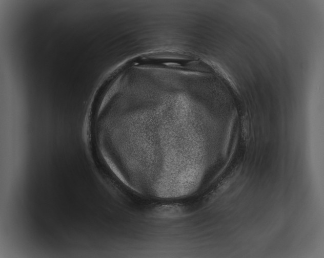 X0000100950536200807151339