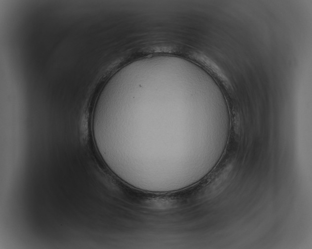 X0000100950537200807151339