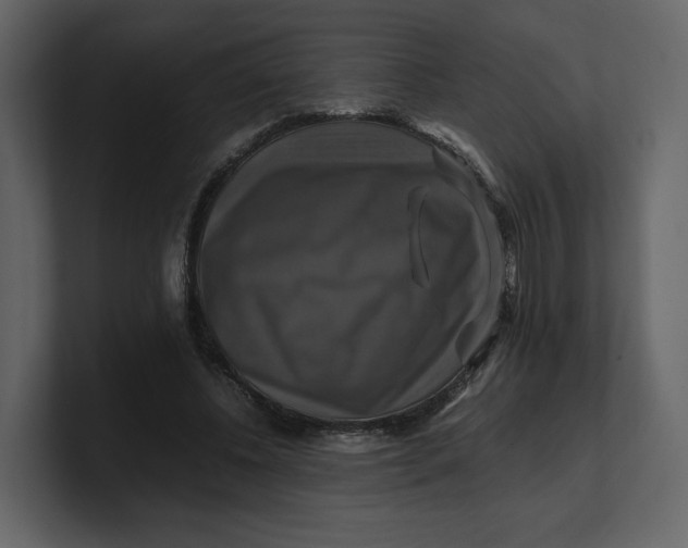 X0000100950540200807151339