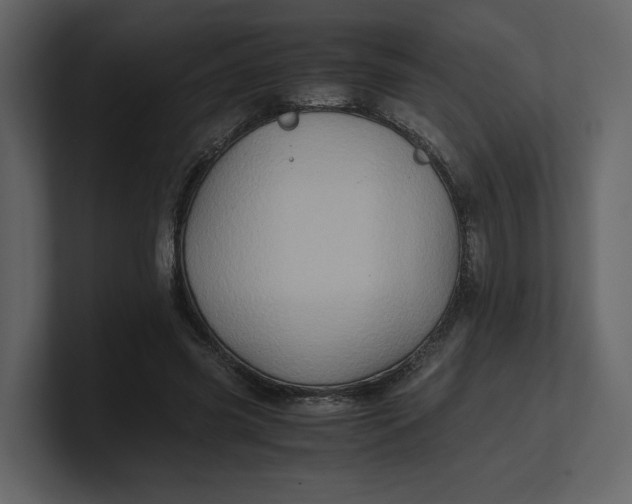 X0000100950541200807151339