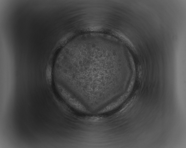 X0000100950542200807151339