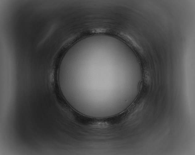 X0000100950543200807151339