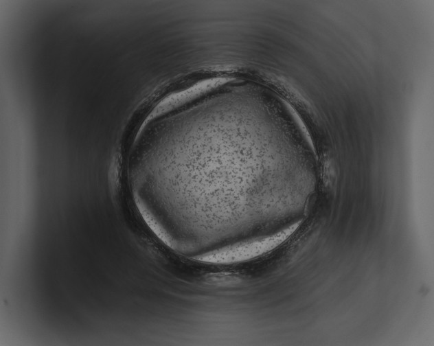 X0000100950544200807151339